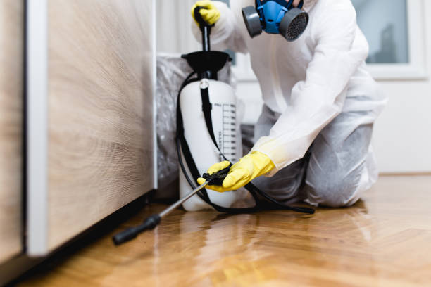 Best Flea Control Services  in Lakeview, CA