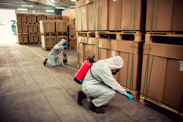 Best Affordable Pest Control Services  in Lakeview, CA