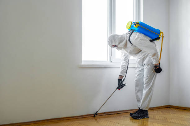Best Best Pest Control Companies  in Lakeview, CA