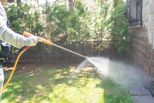 Best Residential Pest Control  in Lakeview, CA
