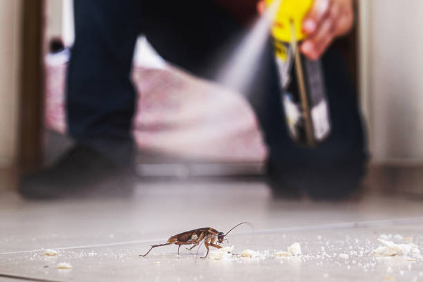 Best Pest Inspection Near Me  in Lakeview, CA