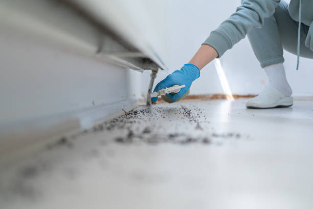 Lakeview, CA Pest Control Company